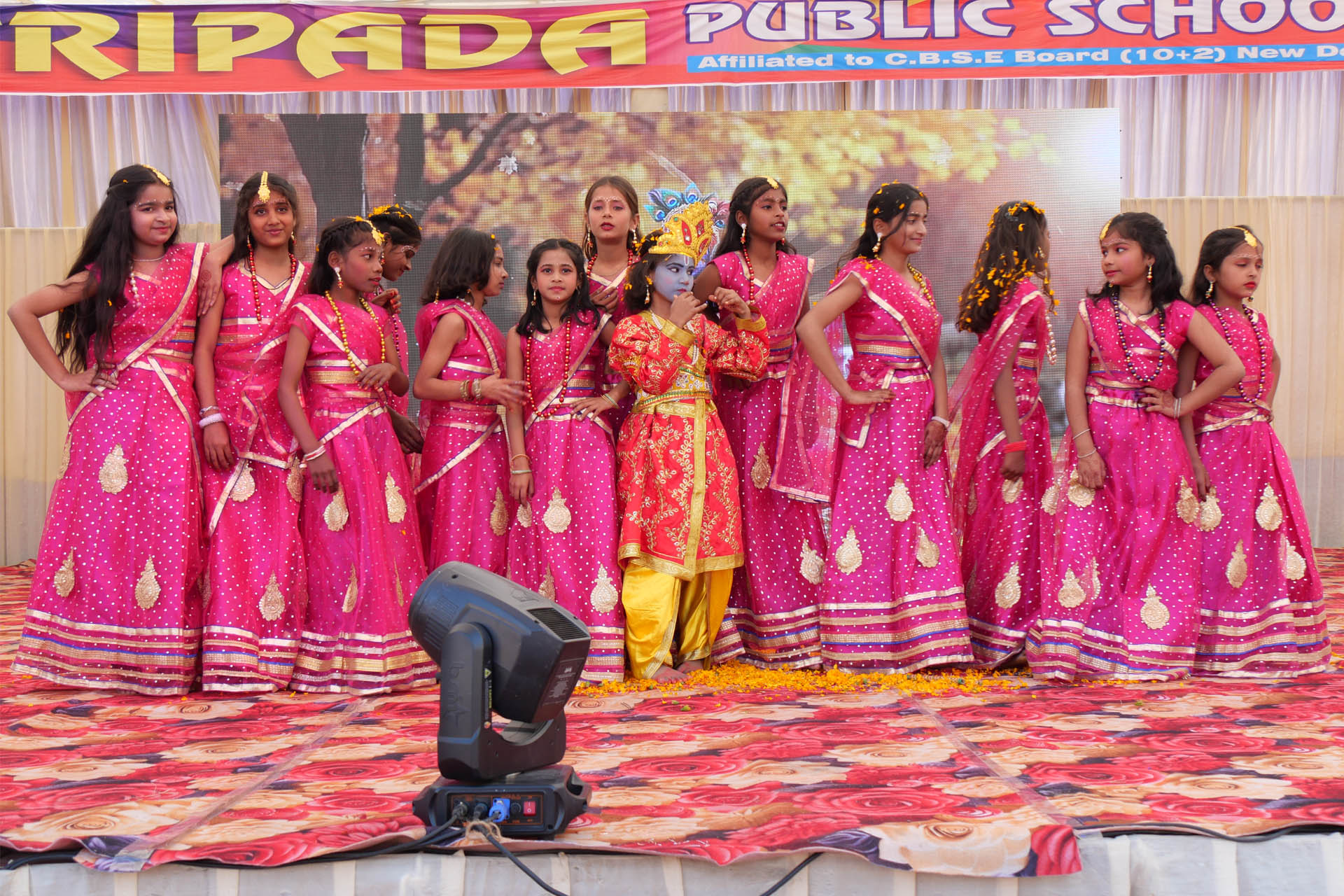 Tripada Public School