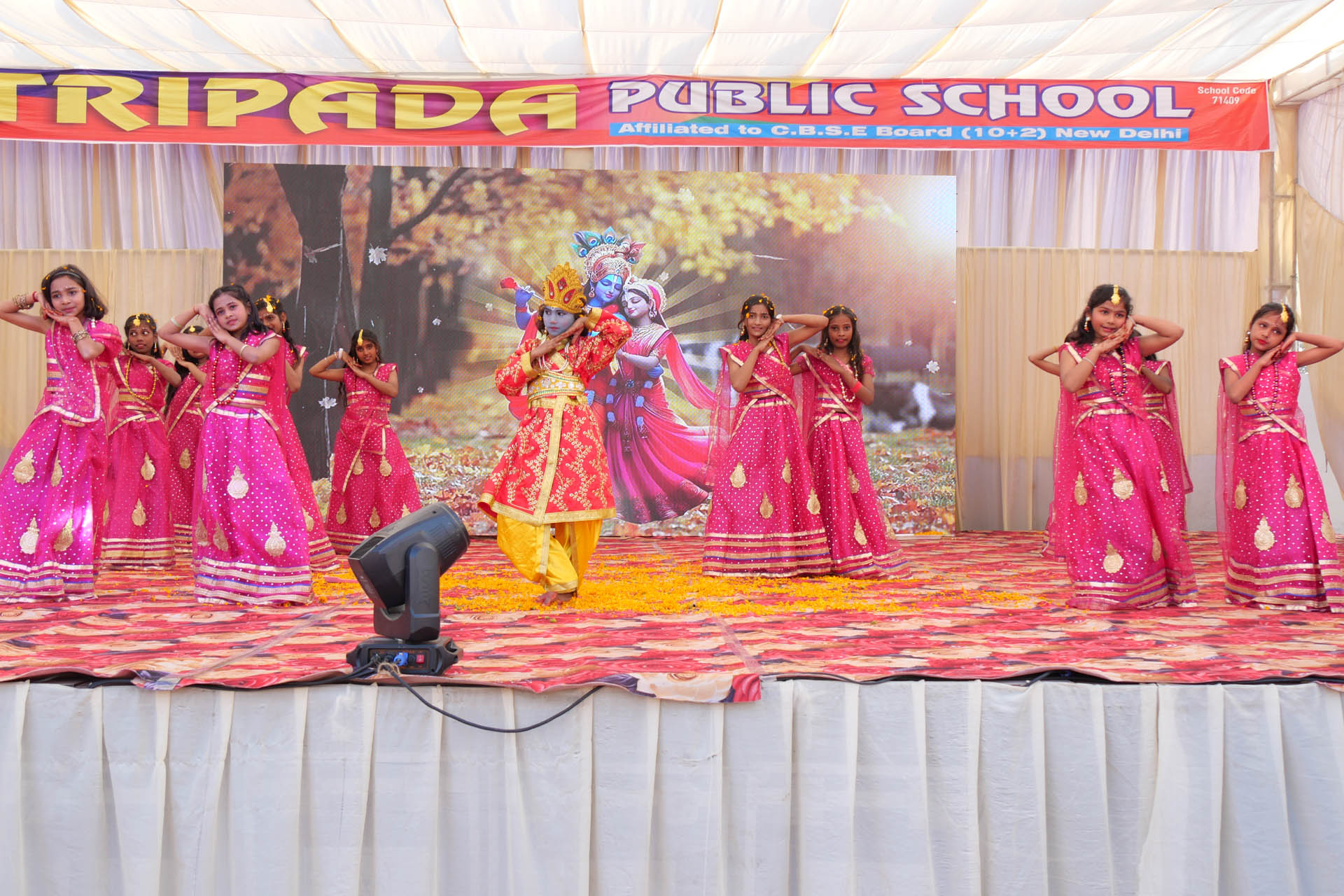 Tripada Public School