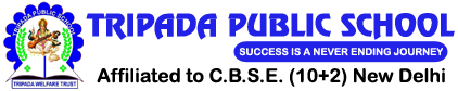 Tripada Public School